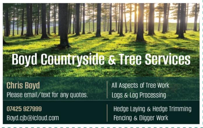 boyd tree services