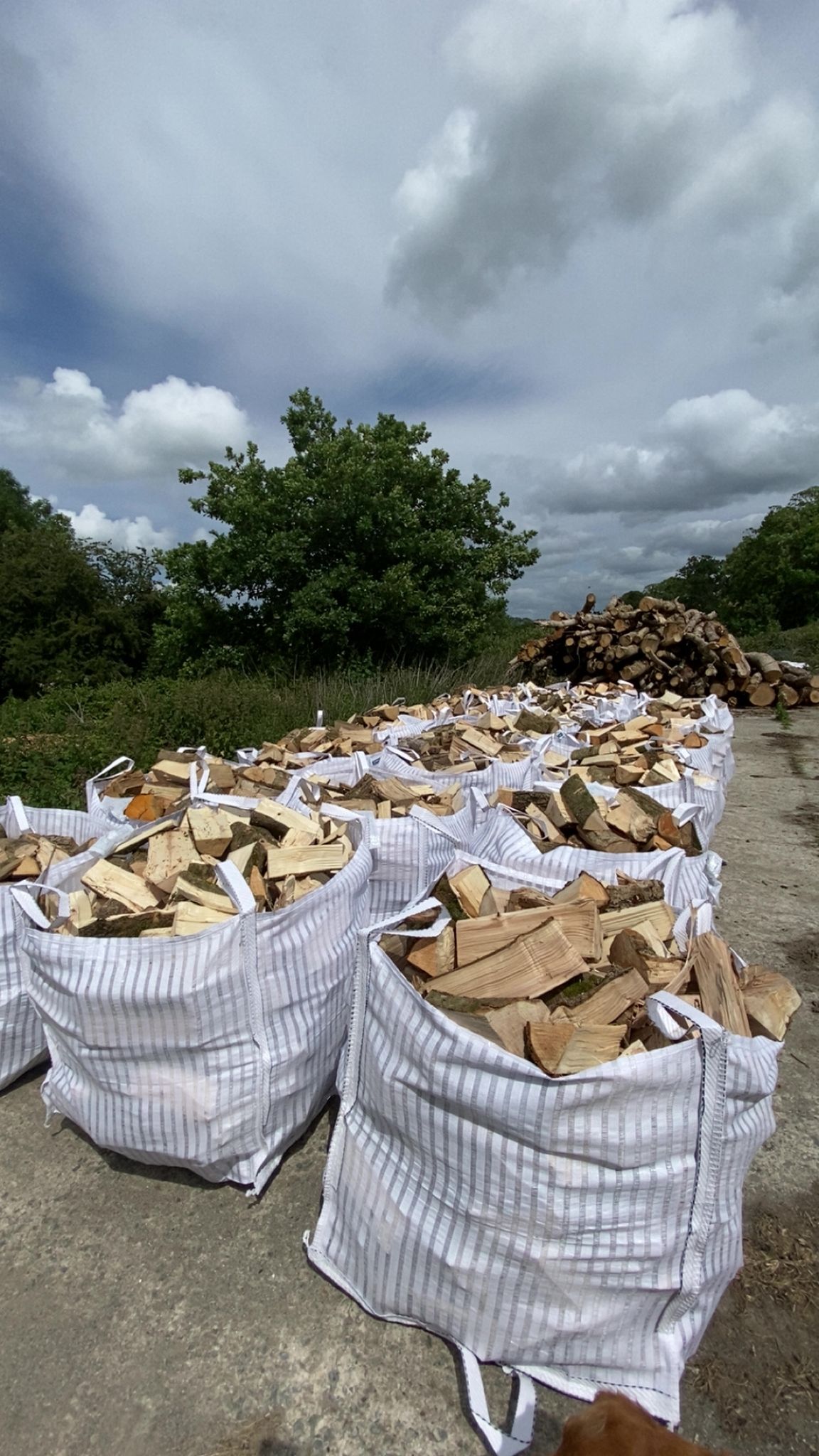 firewood bags for sale