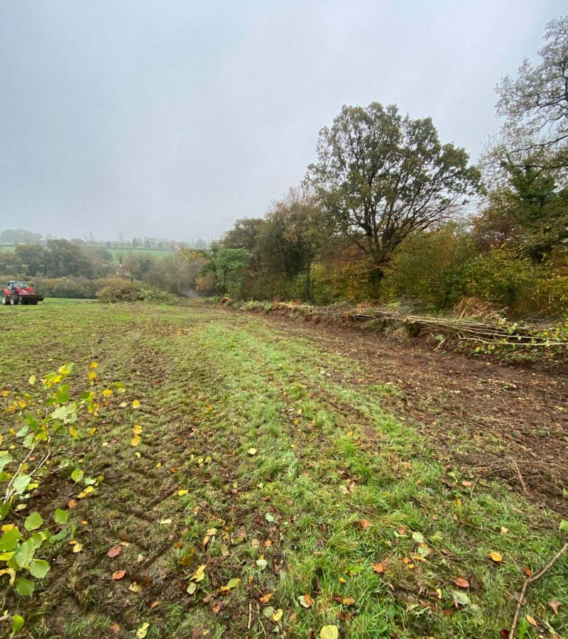 countryside services